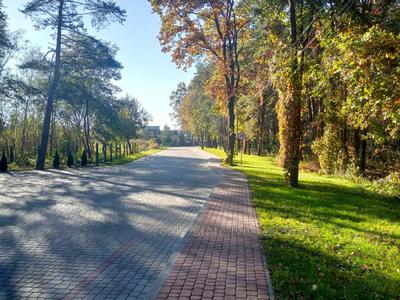 Купити ділянку, під забудову, Щаслива, Підрясне, Яворівський район, id 5095858