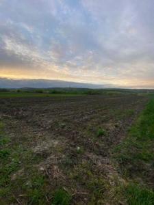 Buy a lot of land, Malye Gribovichi, Zhovkivskiy district, id 5139531