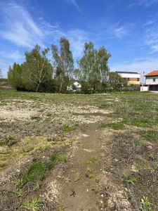 Buy a lot of land, for building, Шкільна, Zubra, Pustomitivskiy district, id 4896974