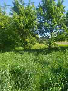 Buy a lot of land, for building, без назви, Malechkovichi, Pustomitivskiy district, id 4653893