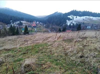 Buy a lot of land, agricultural, Volosyanka, Skolivskiy district, id 5071781