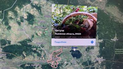 Buy a lot of land, Шевченка, Yavoriv, Yavorivskiy district, id 4811511