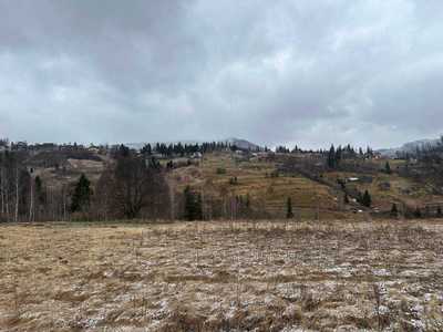 Buy a lot of land, Slavsko, Skolivskiy district, id 5028946