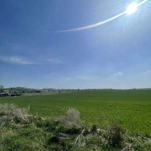 Buy a lot of land, Brodki, Mikolajivskiy district, id 4834067