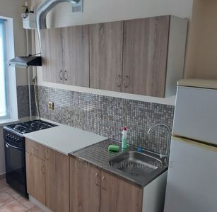 Rent an apartment, Czekh, Pulyuya-I-vul, Lviv, Frankivskiy district, id 4842934