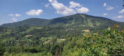 Buy a lot of land, agricultural, Slavsko, Skolivskiy district, id 5098959