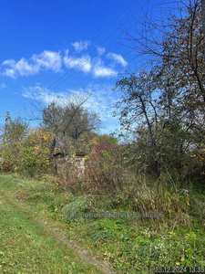 Buy a lot of land, gardening, Velikie Gribovichi, Zhovkivskiy district, id 5025508