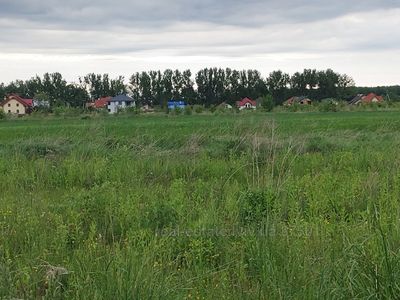 Buy a lot of land, agricultural, Bartativ, Gorodockiy district, id 4682912