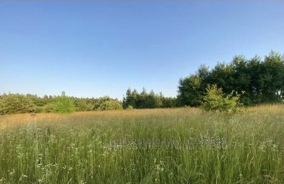 Buy a lot of land, for building, Лесі Українки, Nizhnyaya Belka, Pustomitivskiy district, id 5134039