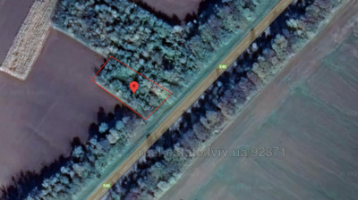 Buy a lot of land, for building, гринахи, Sukhodoli, Brodivskiy district, id 5154379