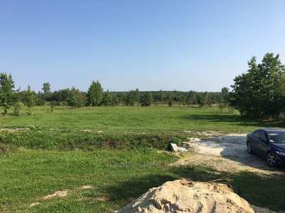 Buy a lot of land, Лісна, Palanki, Yavorivskiy district, id 5048233