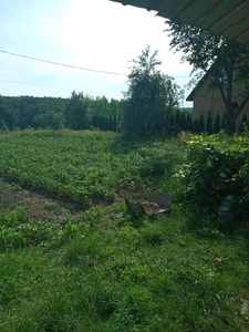 Buy a lot of land, agricultural, Grabnik, Pustomitivskiy district, id 4775891