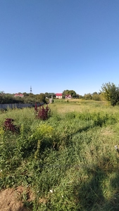 Buy a lot of land, for building, Січових стрільців, Murovanoe, Pustomitivskiy district, id 4834594