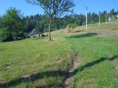 Buy a lot of land, Slavsko, Skolivskiy district, id 5024112