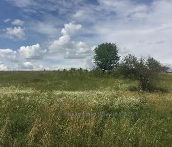 Buy a lot of land, for building, Pasiki Zubrickie, Pustomitivskiy district, id 5124094