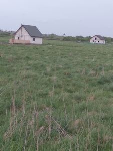 Buy a lot of land, Шевченка, Chishki, Pustomitivskiy district, id 4787193