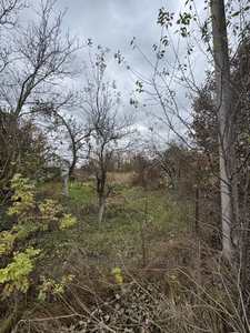 Buy a lot of land, Stavchany, Pustomitivskiy district, id 4907787