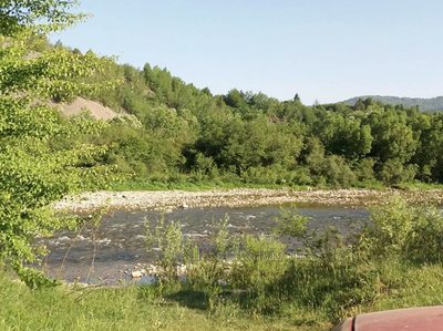 Купити ділянку, сільськогосподарського, Піски, Пустомитівський район, id 5115492