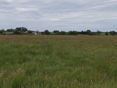 Buy a lot of land, for building, Stavchany, Pustomitivskiy district, id 4805514