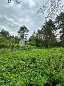 Buy a lot of land, for building, Volodymyra-Ivasiuka-Street, Bryukhovichi, Lvivska_miskrada district, id 4618949