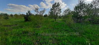 Buy a lot of land, for building, біля лісу, Derevach, Pustomitivskiy district, id 4729778