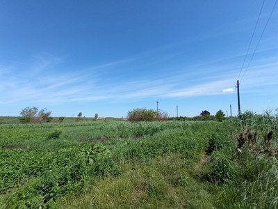 Buy a lot of land, Гамаліївка, Gamaleevka, Pustomitivskiy district, id 4709965