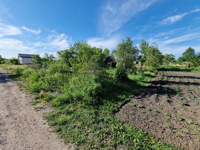 Buy a lot of land, gardening, степана бандери, Pidryasnoe, Yavorivskiy district, id 4623557