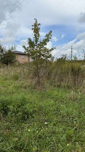 Buy a lot of land, Злагоди, Ryasne-Rus'ke, Lvivska_miskrada district, id 4848933