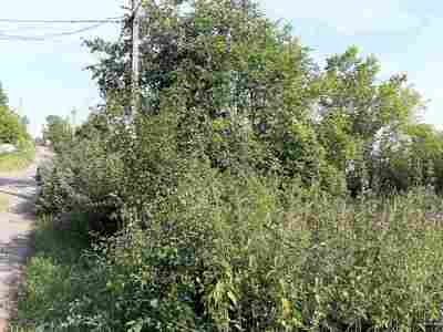 Buy a lot of land, for building, ожб, Derevach, Pustomitivskiy district, id 5098982