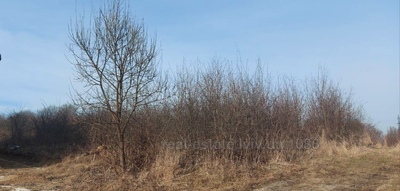 Buy a lot of land, agricultural, Malechkovichi, Pustomitivskiy district, id 5119863