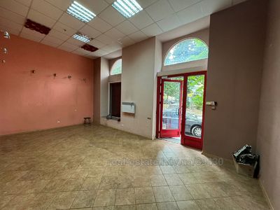 Commercial real estate for rent, Non-residential premises, Dragomanova-M-vul, Lviv, Galickiy district, id 4748168