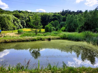 Buy a lot of land, agricultural, Шашкевича, Berezhany, Pustomitivskiy district, id 4691838