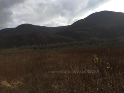 Buy a lot of land, Skole, Skolivskiy district, id 4796364