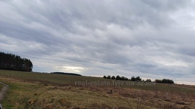 Buy a lot of land, for building, біля лісу, Vorociv, Yavorivskiy district, id 4603548