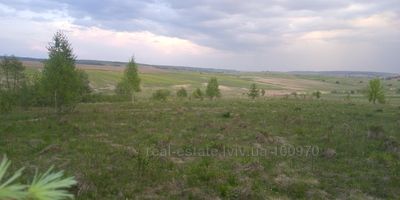 Buy a lot of land, Pikulovichi, Pustomitivskiy district, id 5157854