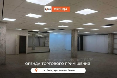 Commercial real estate for rent, Non-residential premises, Knyagini-Olgi-vul, Lviv, Frankivskiy district, id 4697404