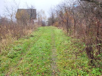 Купити ділянку, садівництво, Великі Грибовичі, Жовківський район, id 4973670