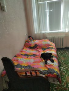 Rent an apartment, Gostinka, Knyagini-Olgi-vul, Lviv, Frankivskiy district, id 4663251