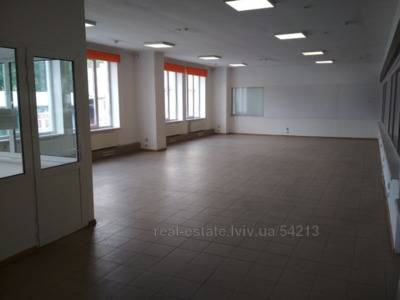 Commercial real estate for rent, Business center, Shevchenka-T-vul, Lviv, Shevchenkivskiy district, id 4739425