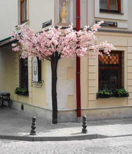 Commercial real estate for sale, Non-residential premises, Serbska-vul, Lviv, Galickiy district, id 4758658