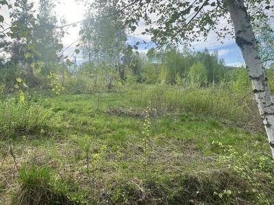 Buy a lot of land, for building, Сагайдачного, Malekhov, Zhovkivskiy district, id 5060639