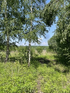 Buy a lot of land, for building, Malekhov, Zhovkivskiy district, id 5153383