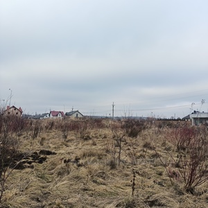 Buy a lot of land, for building, Luhova, Pustomity, Pustomitivskiy district, id 5100773