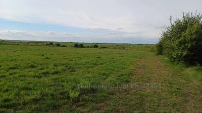 Buy a lot of land, годовиця, Basovka, Pustomitivskiy district, id 4777318