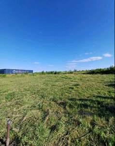 Buy a lot of land, Stryiska Street, Sokilniki, Pustomitivskiy district, id 5014777