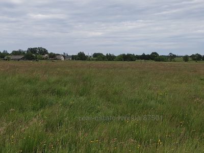 Buy a lot of land, Stavchany, Pustomitivskiy district, id 4711184