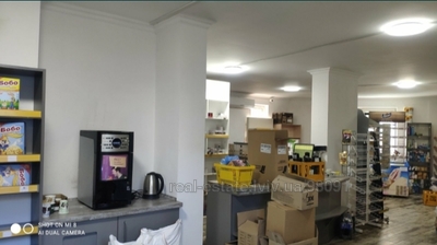 Commercial real estate for rent, Non-residential premises, Zamarstinivska-vul, Lviv, Shevchenkivskiy district, id 4918400