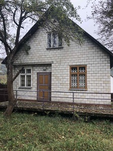 Buy a house, Summerhouse, Yabluneva-Street, Bryukhovichi, Lvivska_miskrada district, id 4681942