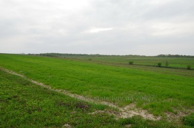 Buy a lot of land, for building, Staroe Selo, Pustomitivskiy district, id 4848385