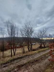 Buy a lot of land, Bryukhovichi, Lvivska_miskrada district, id 4798109